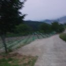 대산장 이미지