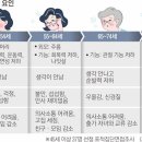 “45세부터 노화 체감”… 깜박깜박 잦고, 모임 줄어 이미지