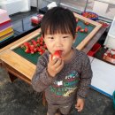 도울마트 이미지