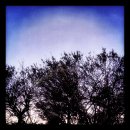 조은자동차 이미지