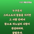 2025-11-07연중 제31주간 금요일＜이 세상의 자녀들이 저희끼리 거래하는 데에는 빛의 자녀들보다 영리하다.＞ 이미지