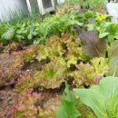 맛있는식탁 이미지