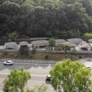 주막 - 음성군 오태로99번길 11 | 주막