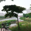 화정천1 이미지