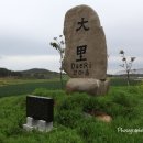 여흘마을 Daum카페
