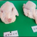 청원종합환경 이미지