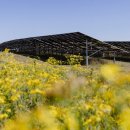 영국1 태양광발전소 이미지