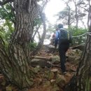 별천지공원-2 이미지