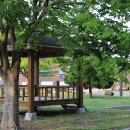 솔향강릉카라반캠핑장 이미지