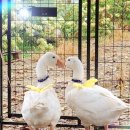 형태농장 이미지