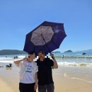 완도12호 | 완도 여름 여행 후기 ft.완도치유페스타