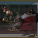 옥계해변관광지 이미지