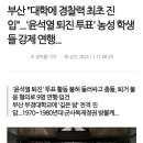 부산 "대학에 경찰력 최초 진입"...'윤석열 퇴진 투표' 농성 학생들 강제 연행... 이미지