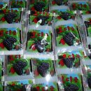 원택농장 이미지