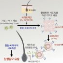 중앙기전 이미지