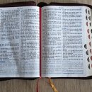 비파로 106 이미지