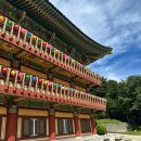 내원정사 - 1613 | 부산 내원정사 템플스테이 당일체험 프로그램 후기｜도심 속 힐링의 시간
