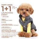 엔젤퍼피 이미지