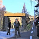 용성꿩농장 이미지