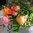 (주)드리고 이미지