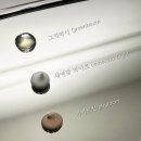 그린박신 내돈내산 후기 10년 빨리늙기 싫다면?