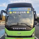 👉 거제 지심도 산행 후기 | 동백섬 트레킹, 해안선 전망대 힐링 코스