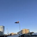 ㈜대한관광여행사 | 8탄] 포트스테판, 돌고래크루즈 시드니대한관광여행사 후기 (마 사막썰매 타봤나? 돌고래 본적 있나...