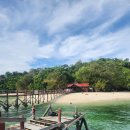 태훈자동차 | 코타키 2일-사피섬 호핑투어 , 신지바쿠테, 망고시장, 탄중아루비치 후기