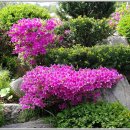 매봉산정상 이미지