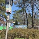 하남창우동 우체국 화장실 | [서울근교] 하남 검단산 반려견 동반 등산 후기 - 현충탑 코스 + 주차 꿀팁 | 중형견 진도믹스