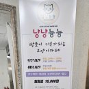 냥냥늉늉 이미지