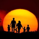 댕댕클라스 이미지