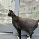 나무쉼터 동물병원 이미지