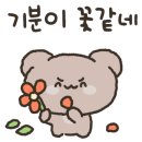 아디다스롯데 이미지