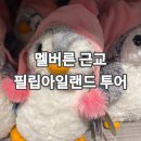(주)인턱시스텍 | 멜버른 투어 추천 | 필립아일랜드에서 펭귄 퇴근길 퍼레이드