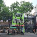 미림목욕탕 | 인사동전통찻집 인사동보이차 원데이클래스 성차사