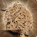 NC백화점 맛집 찾는다면? 유천냉면 솔직 후기! 냉면보다 석쇠불고기가 더 놀라웠던 곳