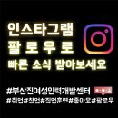 영동인력개발 이미지