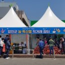 함안친환경안전농산물영농조합법인 이미지