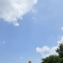 부부손세차장 이미지