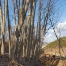 규암농장 이미지