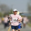 마라톤 도전-2/서울여의도벚꽃마라톤대회/10km/01:08:05:56/ 이미지