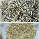 햇살 좋은날 이미지