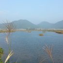 명교주유소 이미지