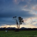 승용목장 이미지