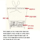 다육식물용토 만들기 2편-다육용토 만들기 이미지