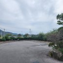 약산흑염소 이미지