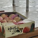 올래청과