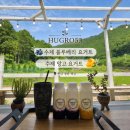 병산로 | 초록 풍경 속 힐링하기 좋은 정관카페, 부산 정관 병산 도자기 카페 Hugro53 방문 후기