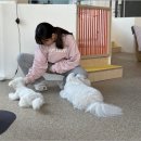 카페까망콩